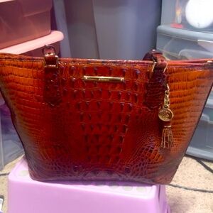 Brahmin Purse
